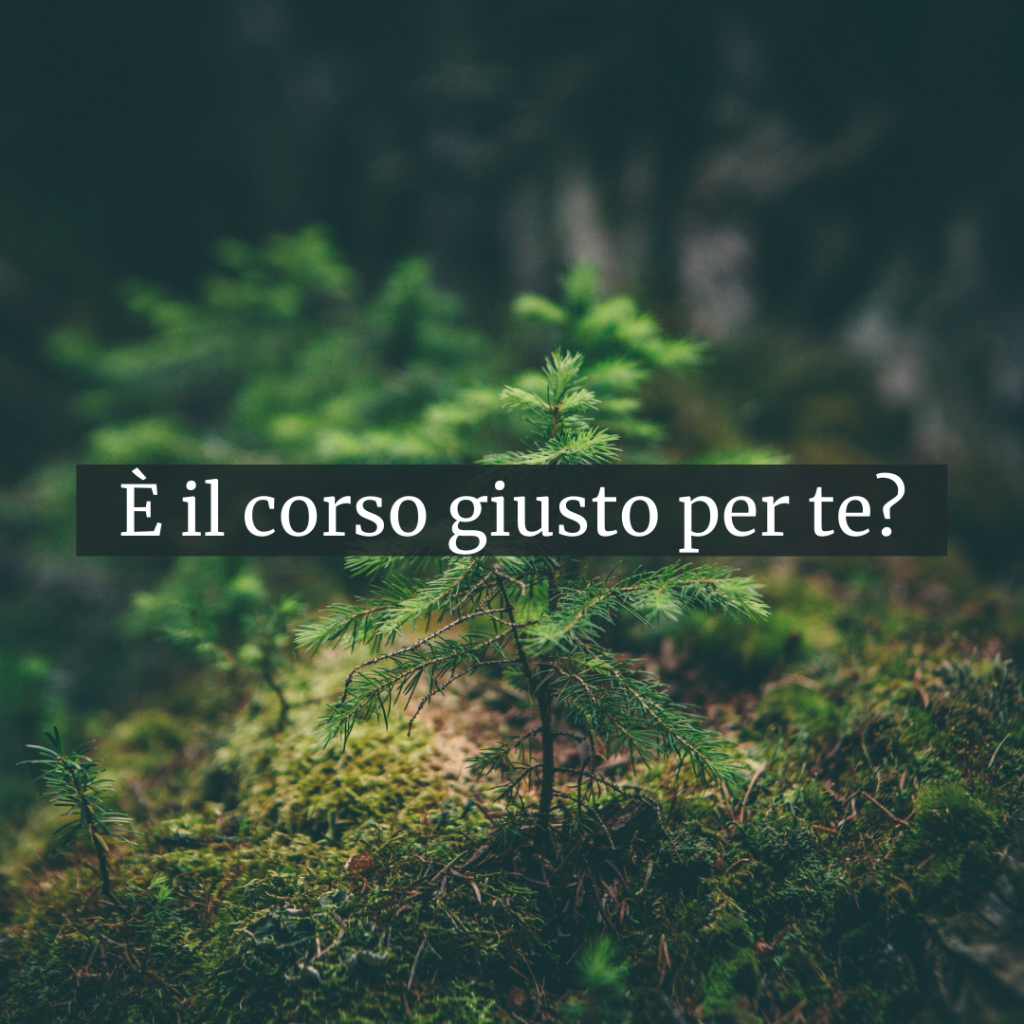 Per sito (6)