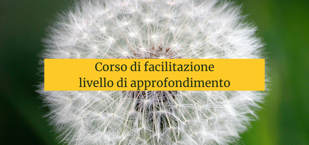 Corso facilitazione livello di approfondimento (2)