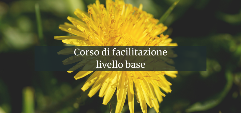 Corso di facilitazione livello base