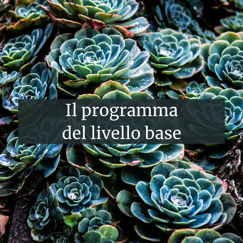 programma corso facilitazione livello base