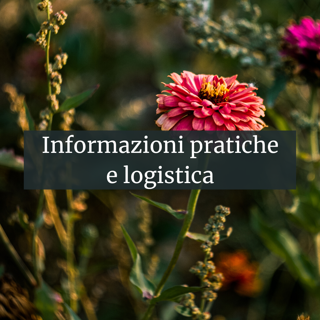 Per sito (10)