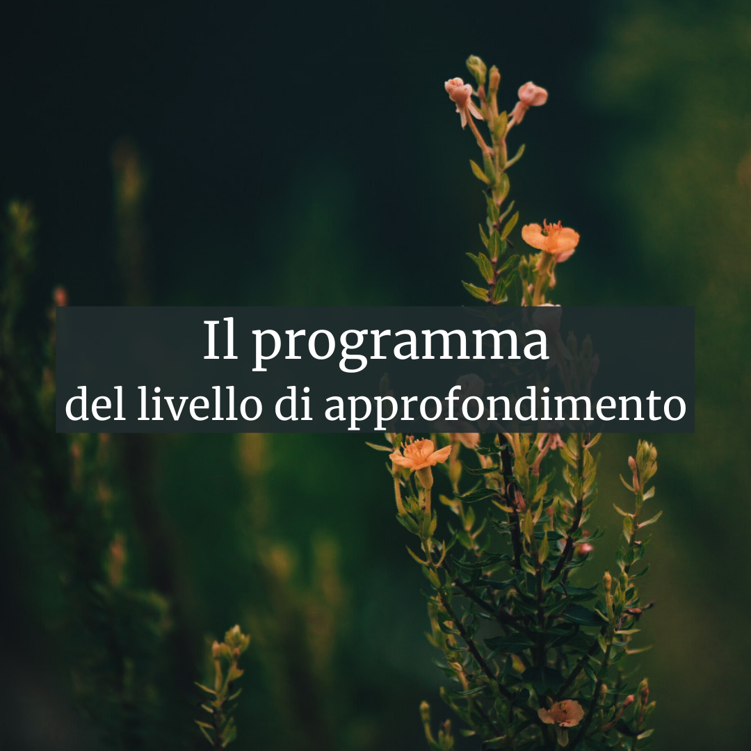 Per sito (9)