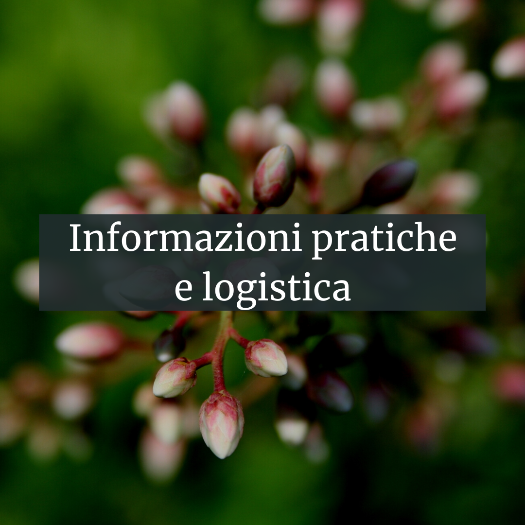 Informazioni livello avanzato