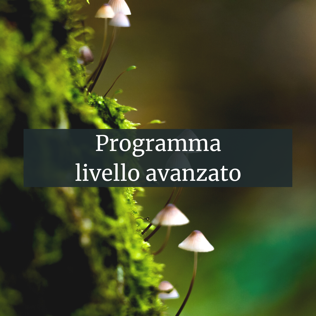 Programma livello avanzato