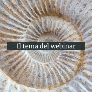 il tema del webinar pensiero sistemico