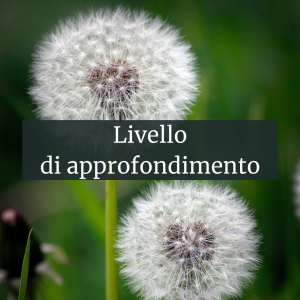 Per sito (3)