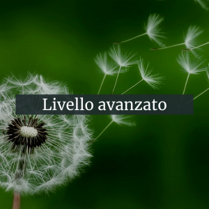 Per sito (4)